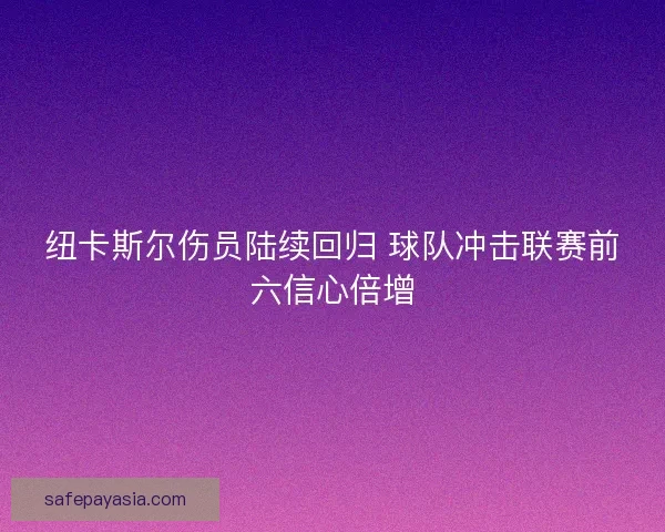 纽卡斯尔伤员陆续回归 球队冲击联赛前六信心倍增 纽卡斯尔伤员陆续回归 球队冲击联赛前六信心倍增